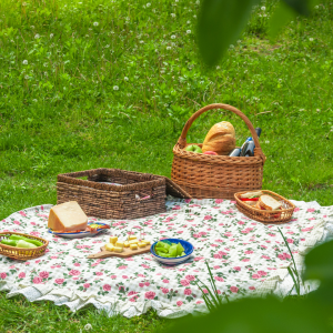 pic nic